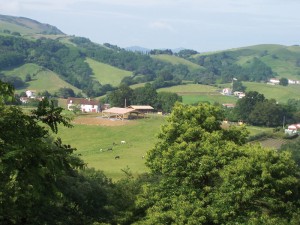 ensemble1 vue d'ensemble