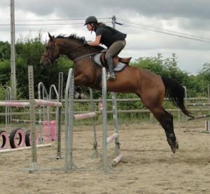 13497556_988659757917061_6212401544284866730_o