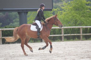 18404165_1294898417293192_8306161458086065950_o