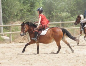 19243031_1334802173302816_1703338493599097374_o