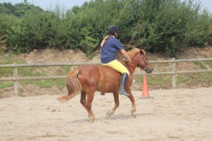 19400301_1334815953301438_1728758173754083971_o