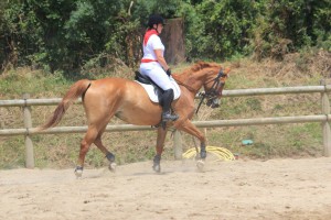 19442137_1334806529969047_184697871706910897_o