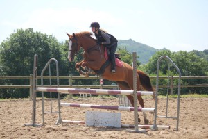 19983506_1350578088391891_1394226999952399386_o