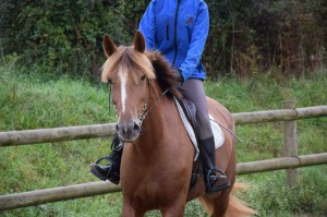 22312241_342322549511482_1797828425_o