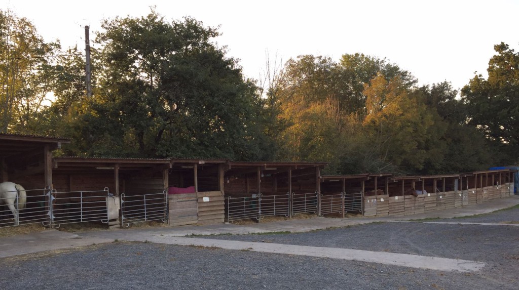 IMG-20171014-WA0003[1]